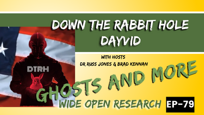 Dayvid with Down the Rabbit Hole | Wide Open Research #79