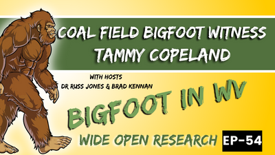 Tammy Copeland - A Coal Field Bigfoot Witness | Wide Open Research #54
