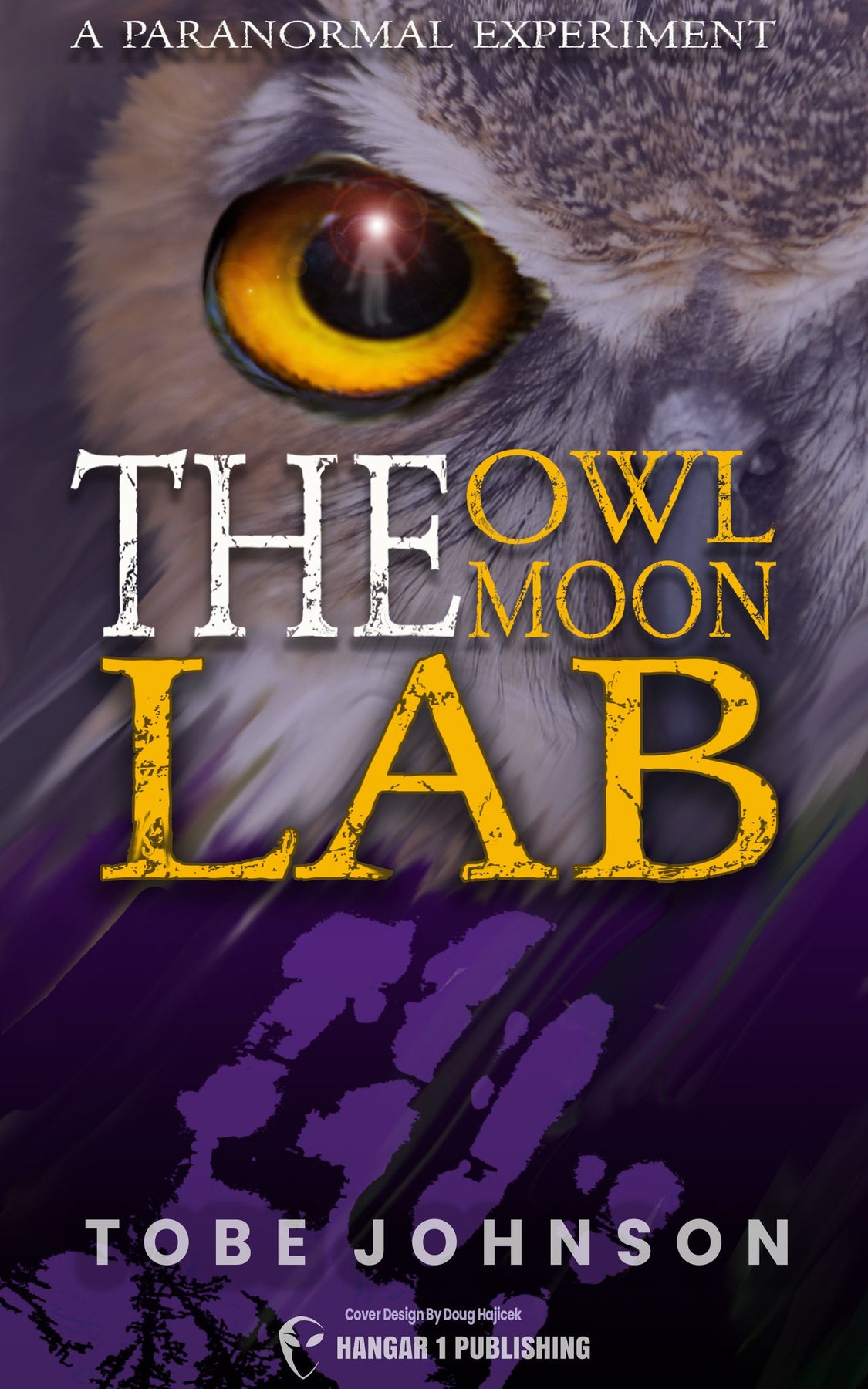 The Owl Moon Lab: A Paranormal Experiment – Untold Radio AM
